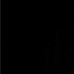 Authentic Gucci Canvas Agenda with Web